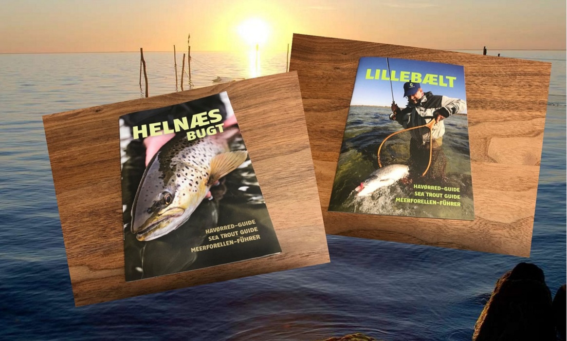 fiskeguider lillebælt og helnæs