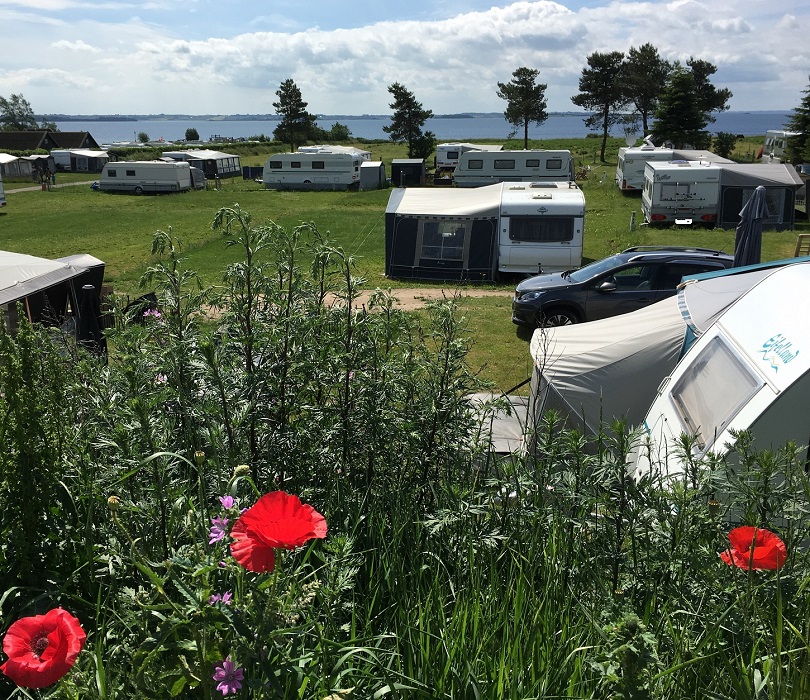 løgismose strandcamping
