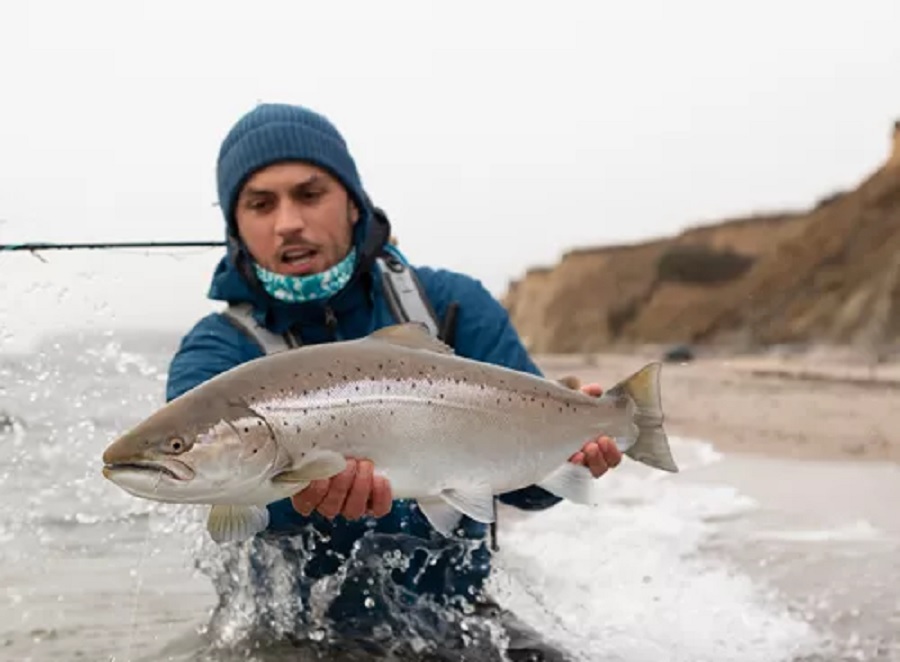 fiskeri fra kysten havørred
