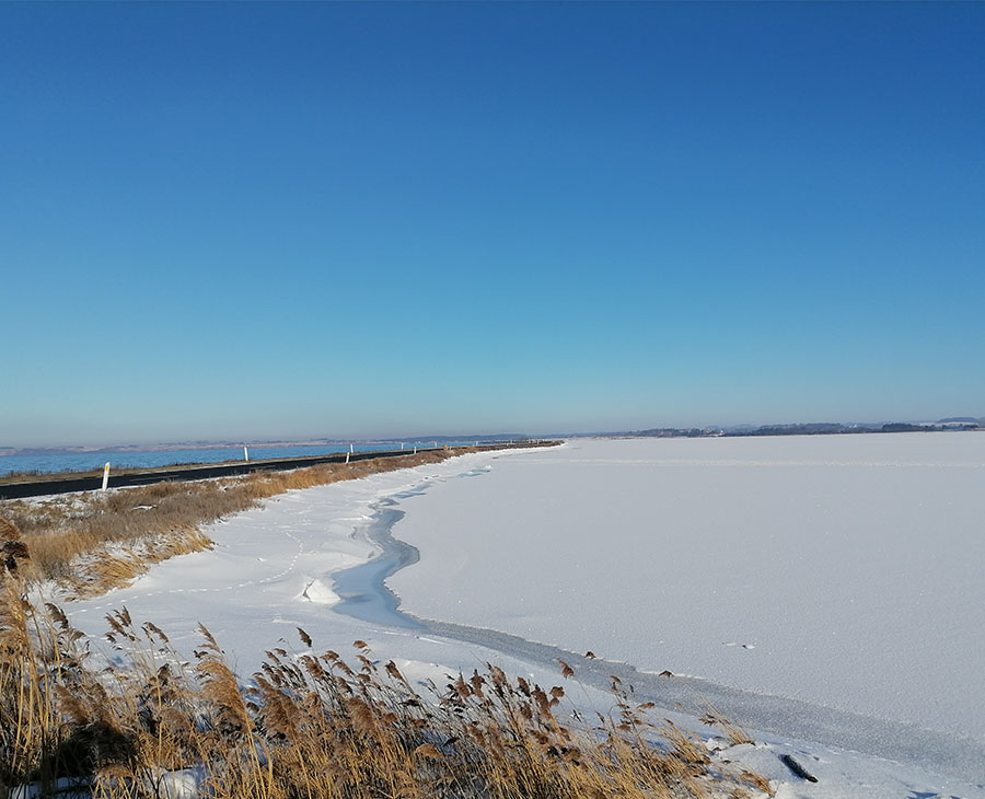 Besøg Helnæs om vinteren i Assens