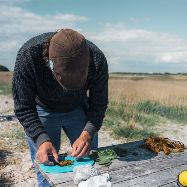 Oplev kysten - Smag på kysten